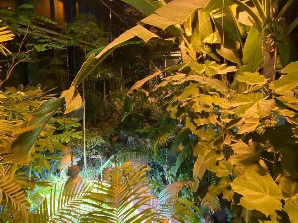 Экскурсии в Аптекарском огороде. Изображение 3