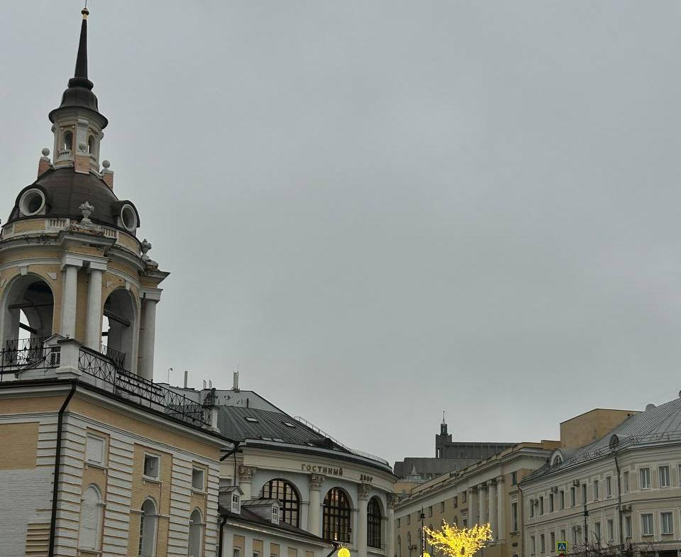 Парк Зарядье. Изображение 6