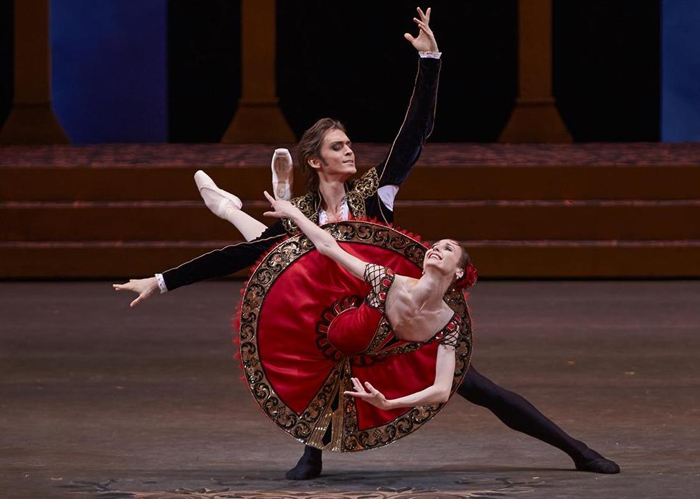 Дон Кихот. Изображение 6