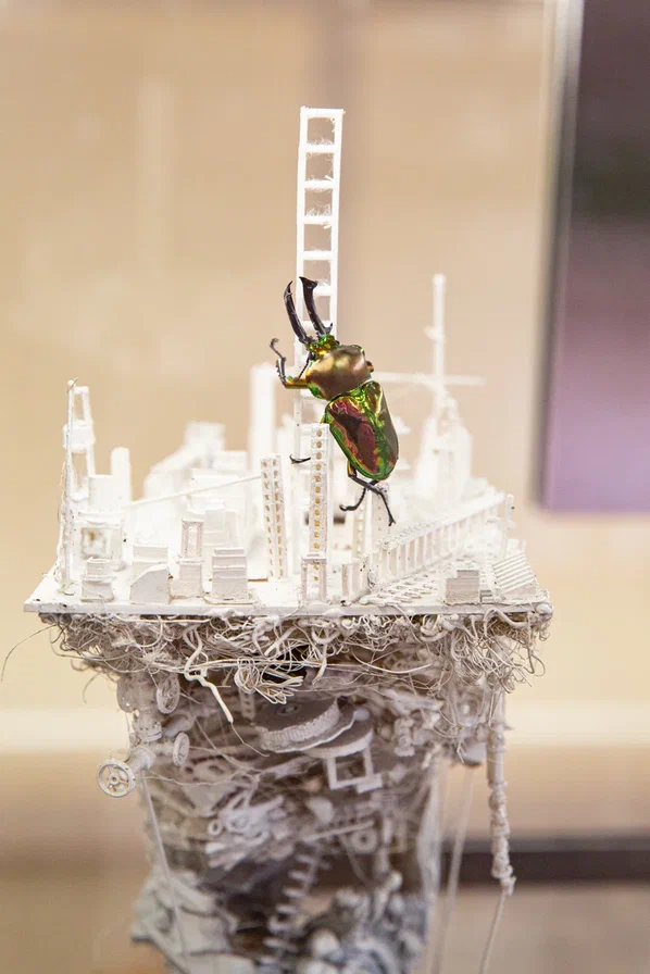 БукашкиФест. Изображение 3