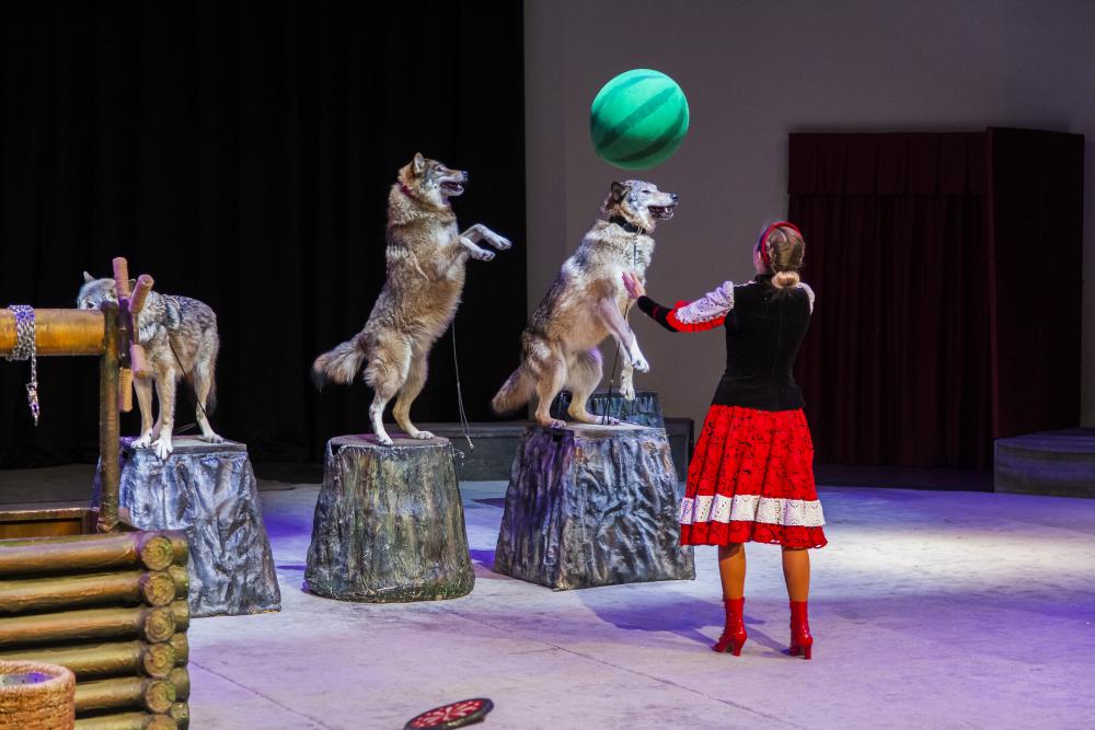 Необыкновенное путешествие. Изображение 2