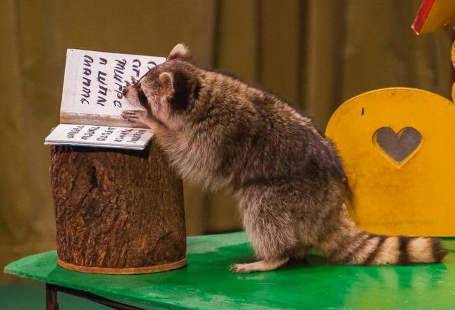 В гостях у дедушки Дурова. Изображение 1