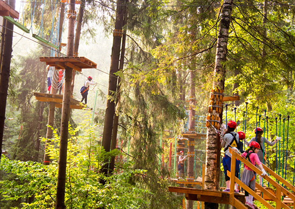 Парк приключений в Хотьково. Изображение 1