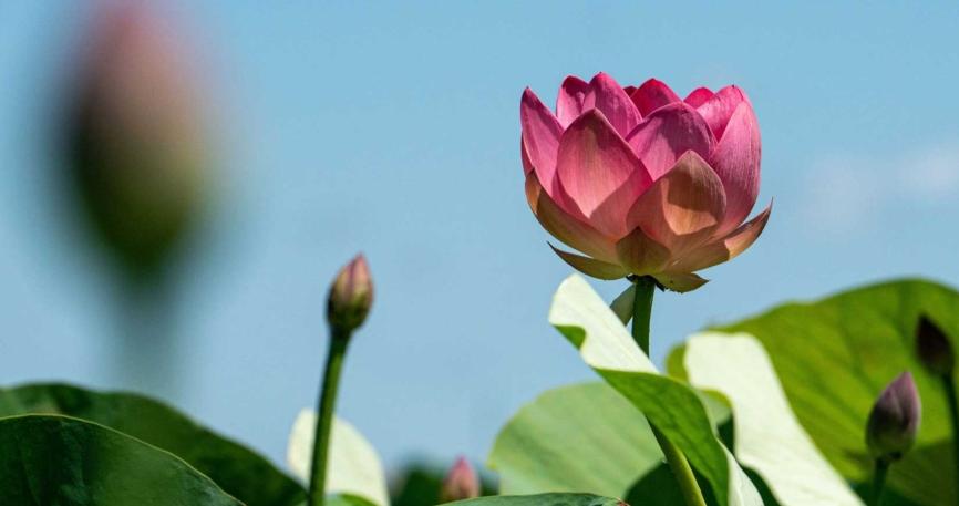 Россия. Виртуальное путешествие. Изображение 3