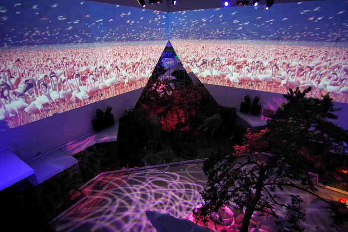 Живая планета. Изображение 1