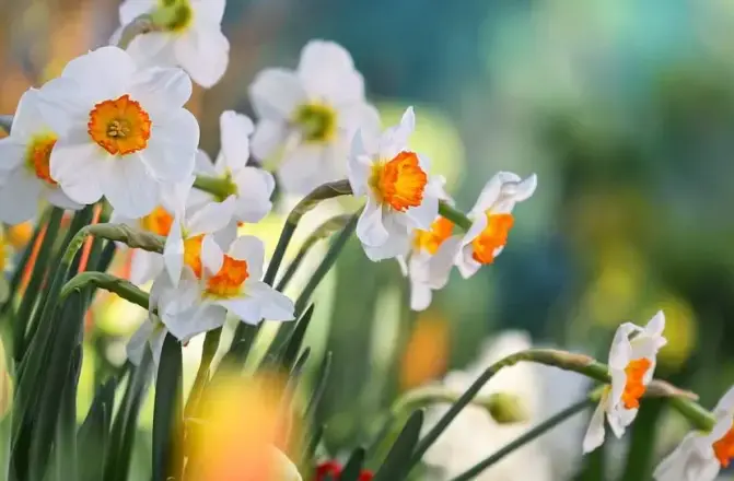 Репетиция весны. Изображение 3