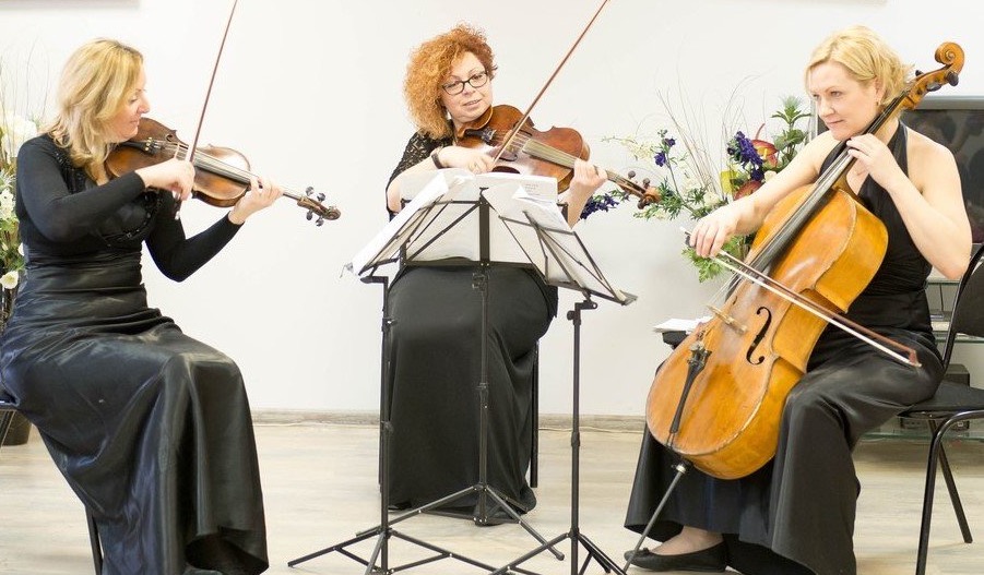 Новогодние мелодии со струнным трио Caprice скрипка, альт, виолончель. Изображение 3