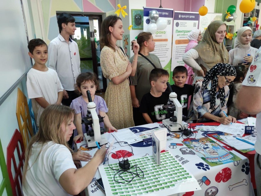 Школа доктора Вика . Изображение 3