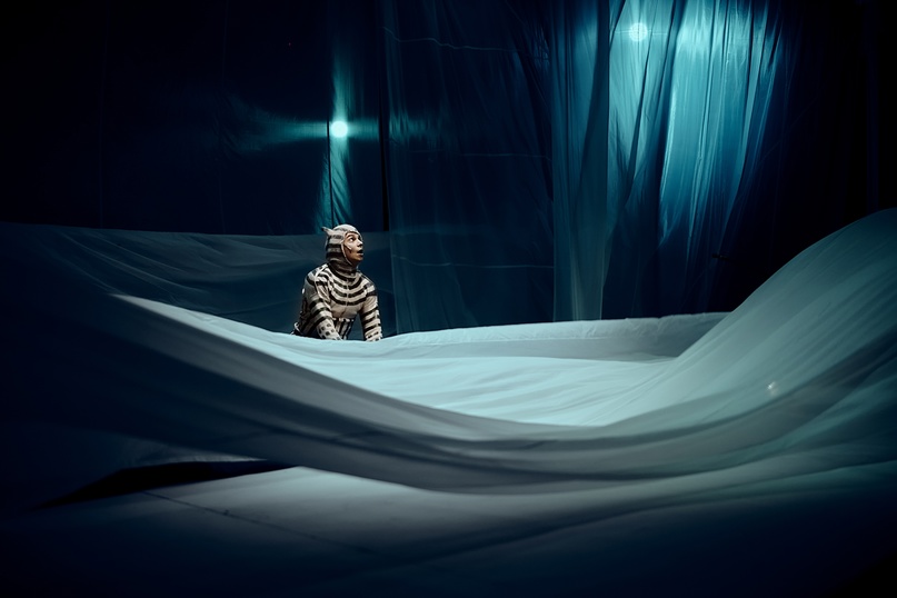 Кит плывет на север. Изображение 5