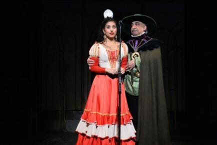 Графиня-цыганка. Изображение 4