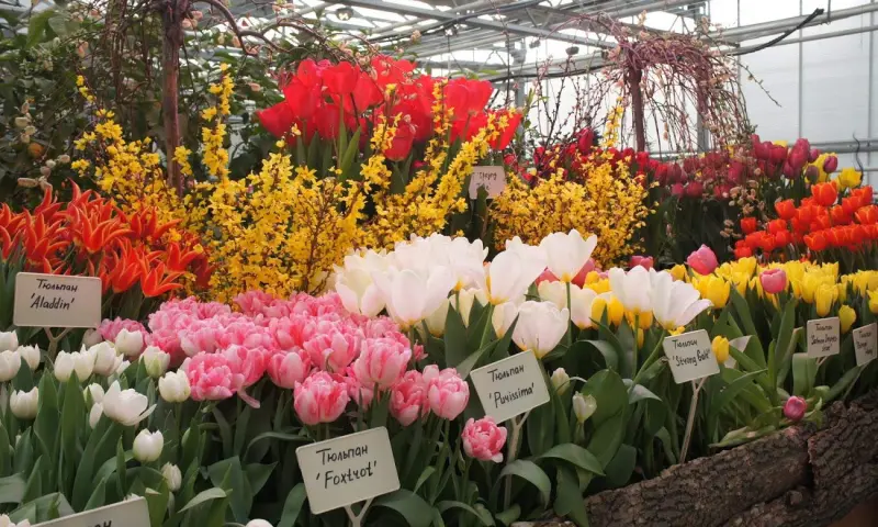 Репетиция весны. Изображение 4