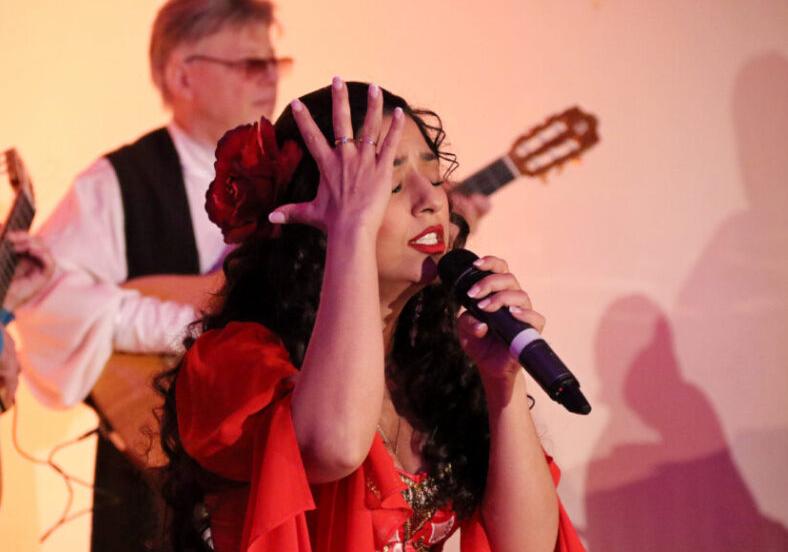 Цыганская ночь. Изображение 2