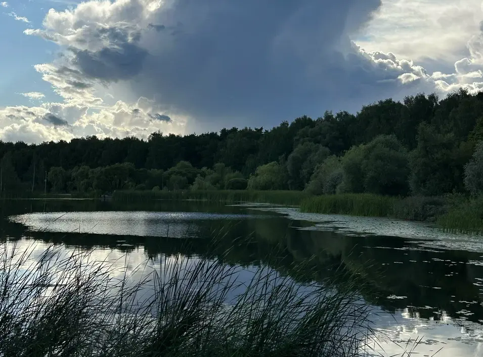 Лесопарк Покровское-Стрешнево. Изображение 2