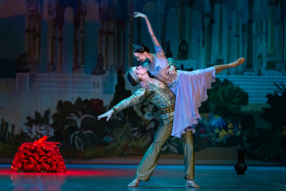 БАЯДЕРКА (РАМТ). Изображение 1