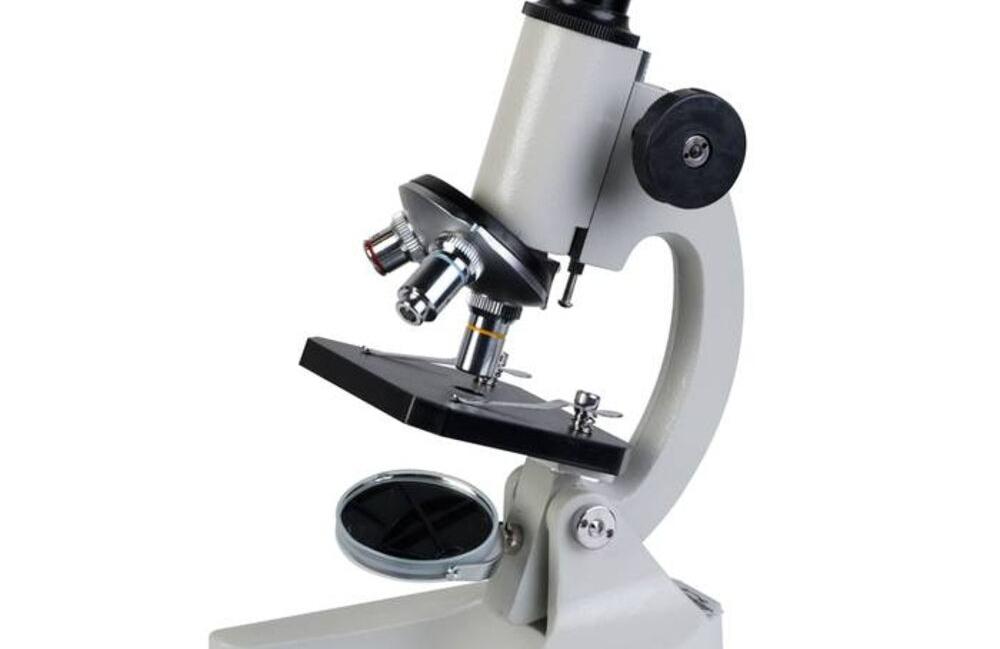 Занятие мир под микроскопом «Такой разнообразный микромир. Обзорное занятие». Изображение 1