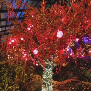 Фестиваль Китайского Нового года. Изображение 4