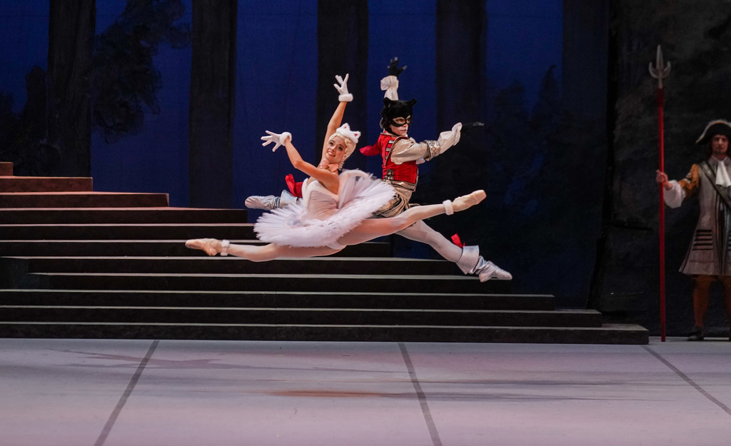 Спящая красавица (Большой театр России). Изображение 2