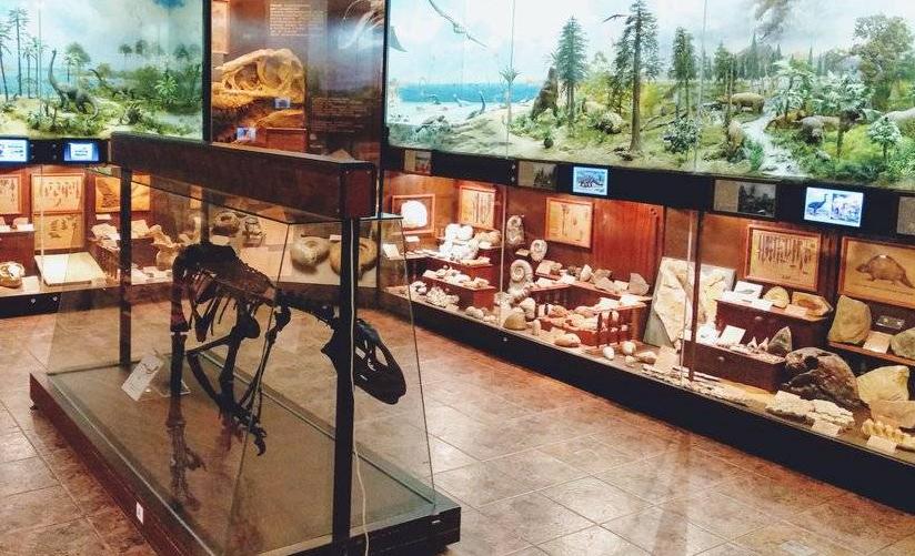 Павильон № 31 Геология. Биологический музей им. К. А. Тимирязева. Изображение 3