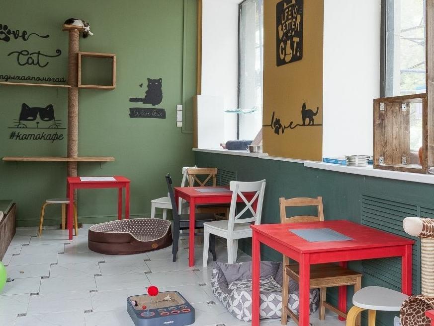 Котокафе "Котеешная №1". Изображение 1
