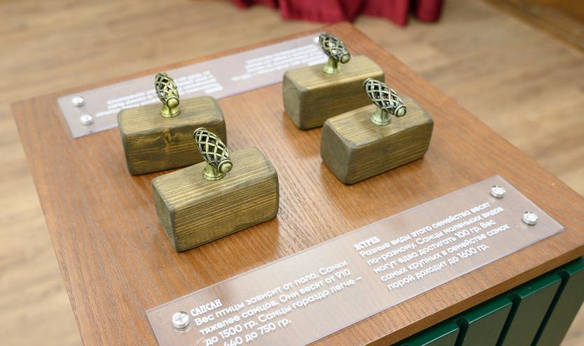 Интерактивная экскурсия "Царская охота". Изображение 5