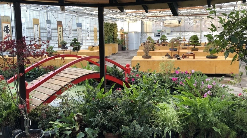 Аптекарский огород. Изображение 4