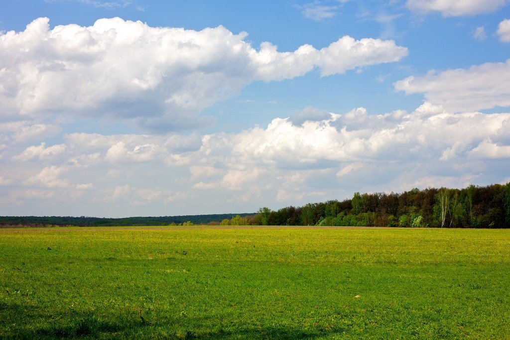 Музей-усадьба Л.Н. Толстого "Ясная Поляна". Изображение 6