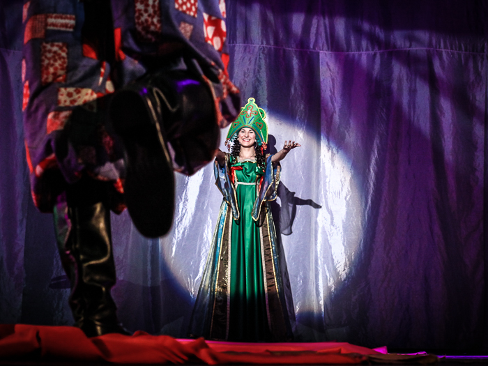 Царевна-лягушка (Театр п/р В. Спесивцева). Изображение 9