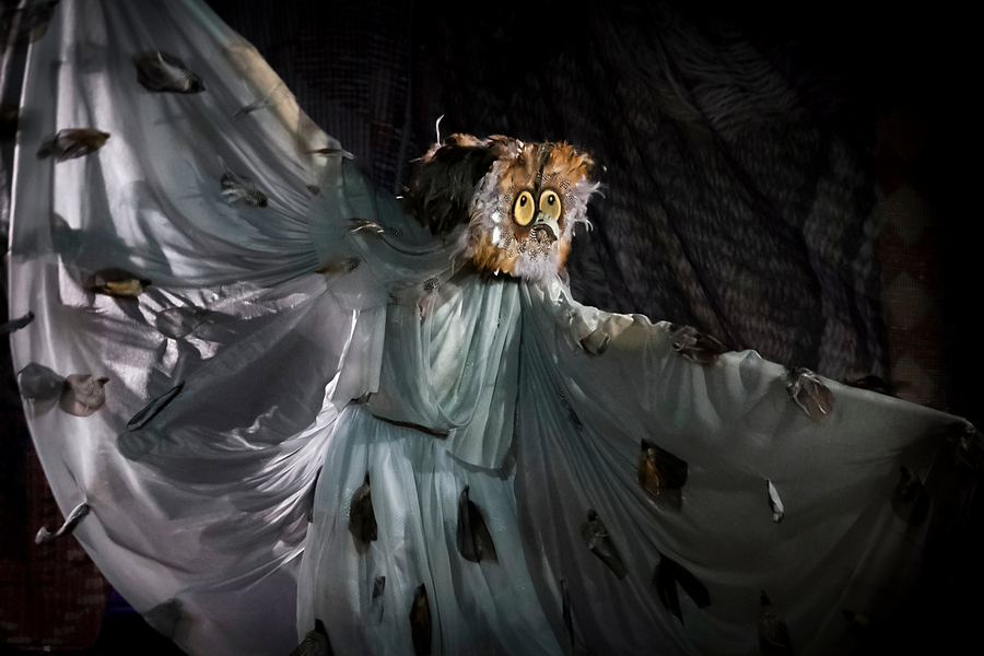 Калиф-аист. Изображение 6