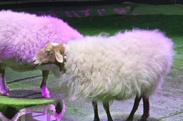 Матрёшка. Изображение 7