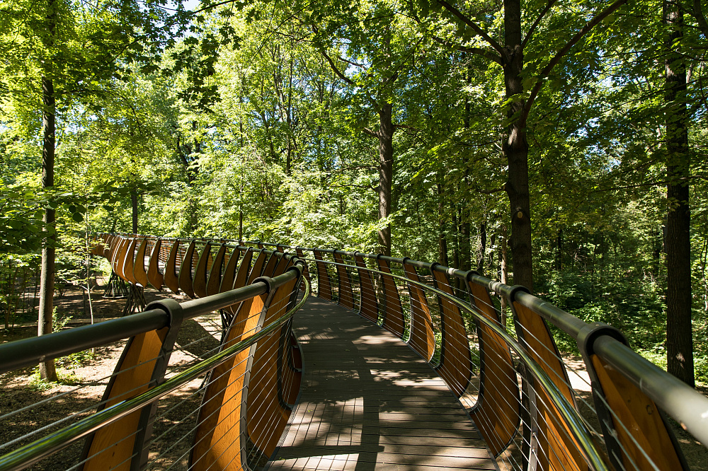 Воздушная экотропа на ВДНХ. Изображение 2