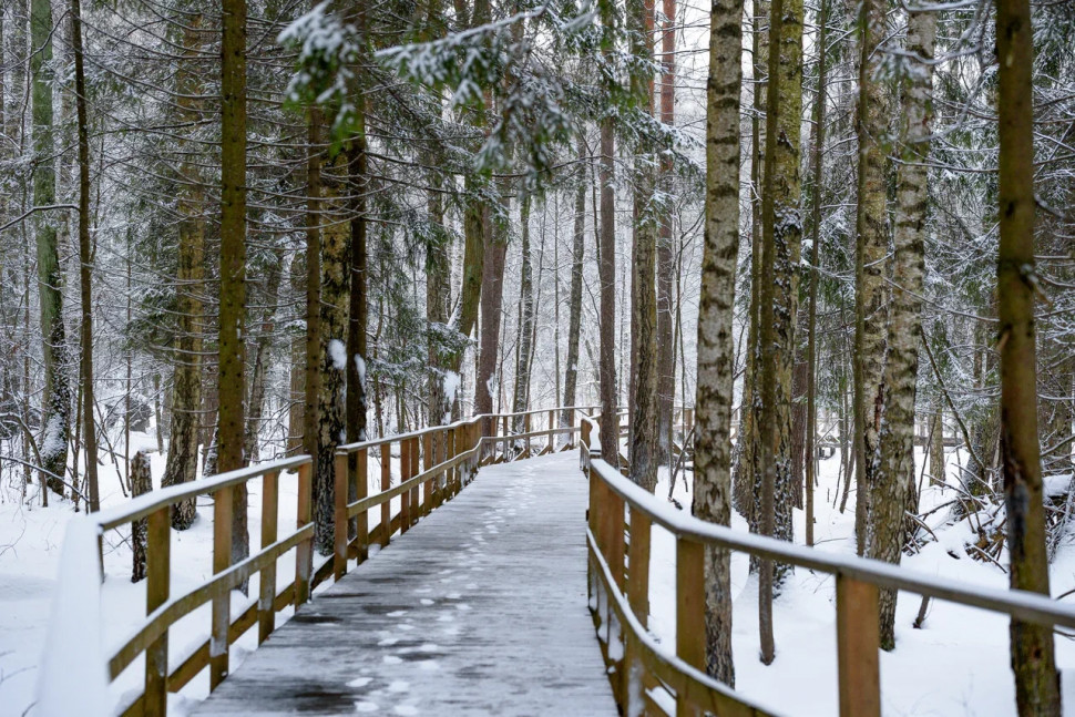 Оленья тропа. Изображение 1