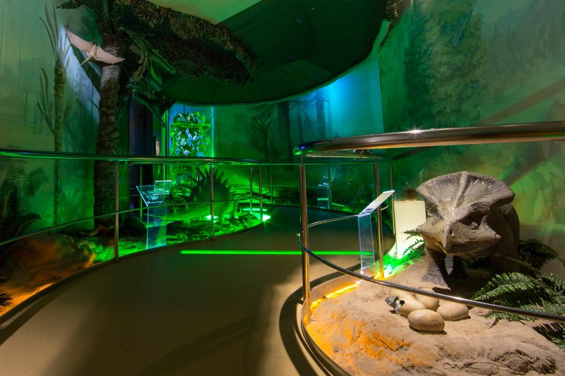 Пройди путем эволюции. Изображение 4