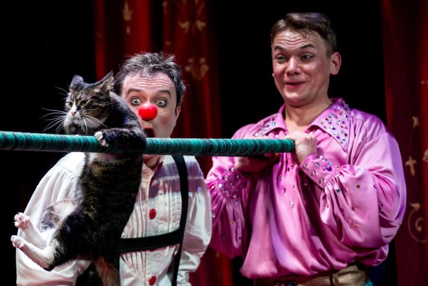 Я КЛОУН или КОТОСТРОЙКА. Изображение 7