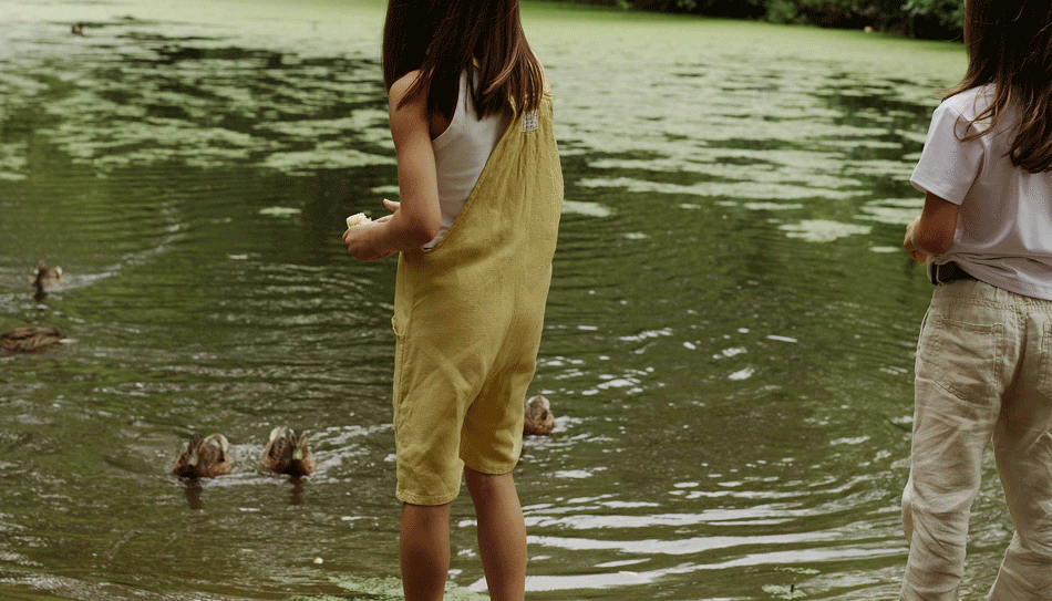 Мещерский парк. Изображение 10