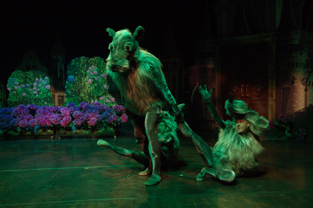 Стойкий оловянный солдатик (Театр им. Н.И.Сац). Изображение 2