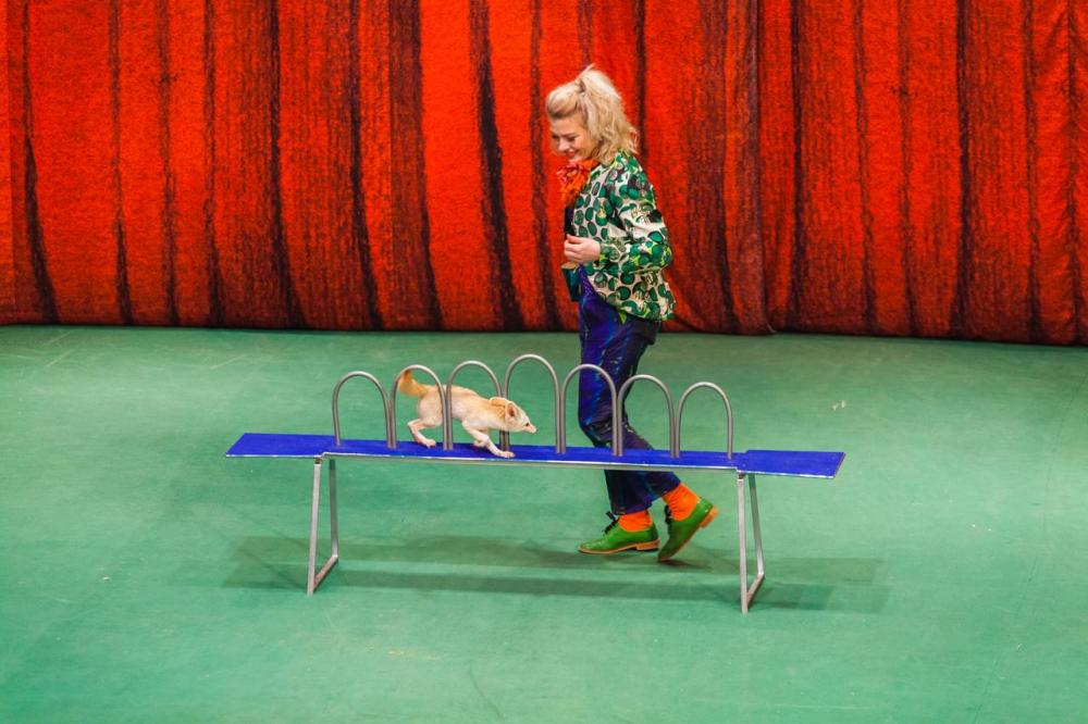 В гостях у дедушки Дурова. Изображение 3