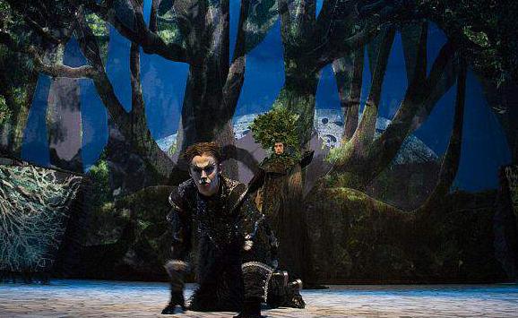 Кот в сапогах. Изображение 6