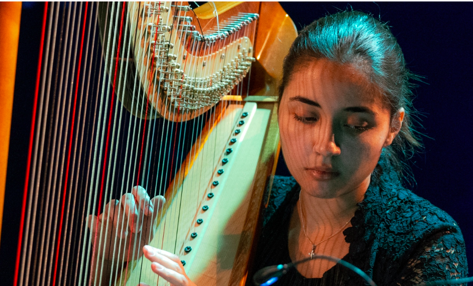 РОМАН О РОЗЕ. Изображение 2