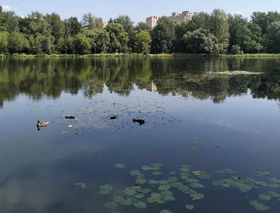 Люблинский парк. Изображение 1