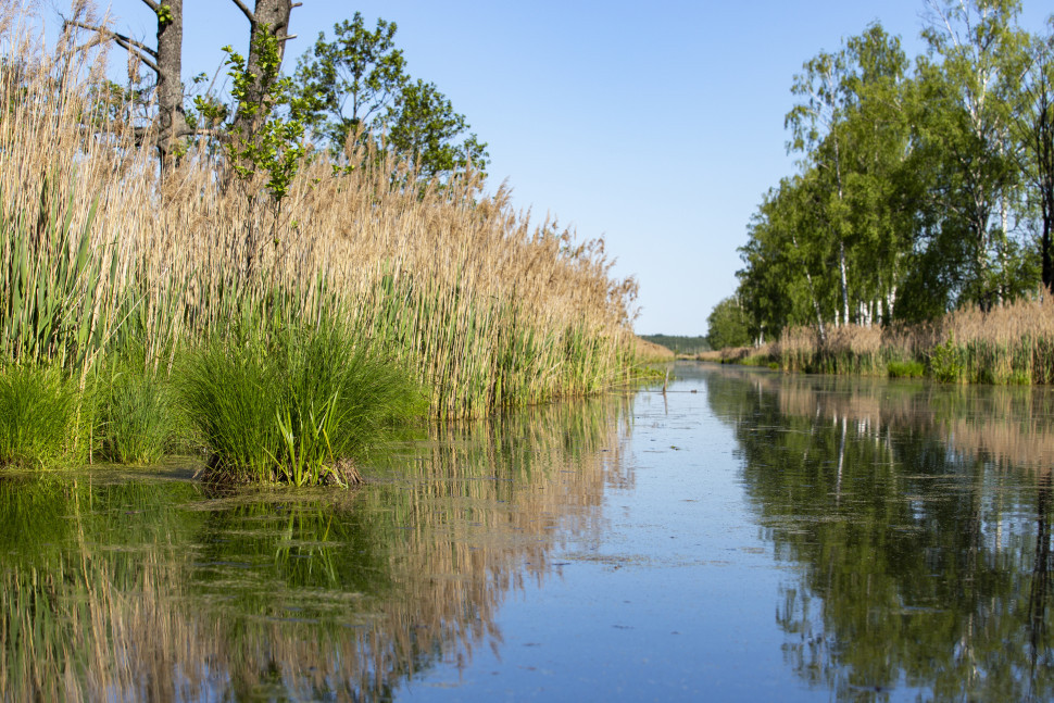 Экскурсия на байдарках по Верхнеяузскому водно-болотному комплексу до 3 км. Изображение 3