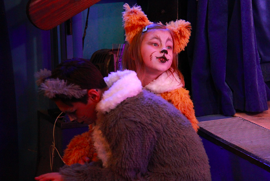 Кошкин дом (Московский театр "Поколение"). Изображение 1