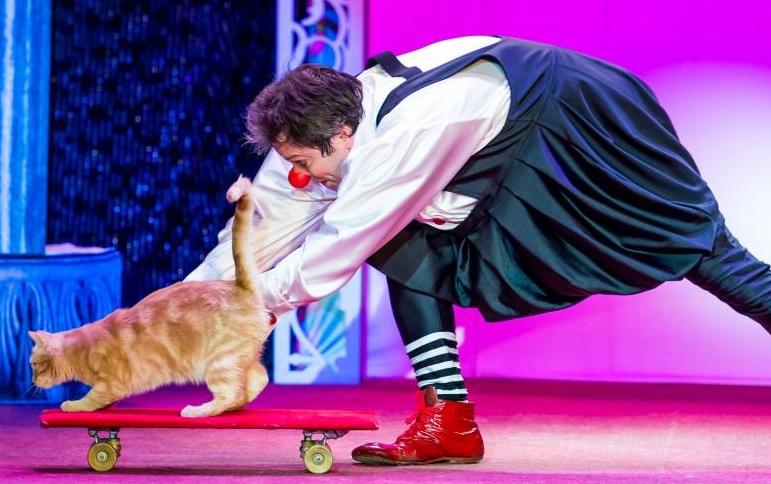 Я КЛОУН или КОТОСТРОЙКА. Изображение 1