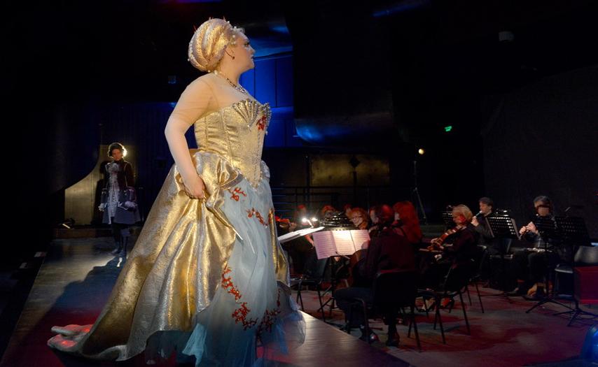 Альцина. Изображение 2