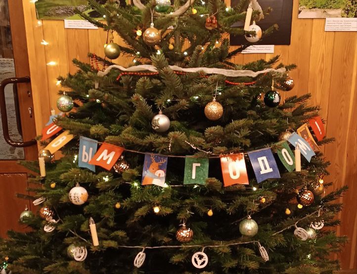 Новогодняя познавательная программа проекта "Пытливые 0+". Изображение 1