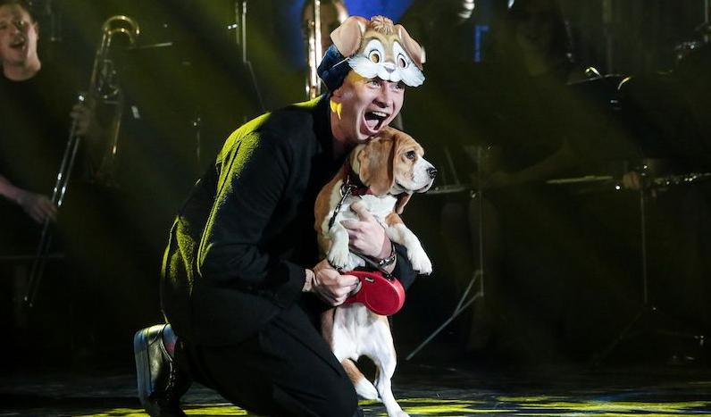 Новогодний оркестр мечты. Изображение 2