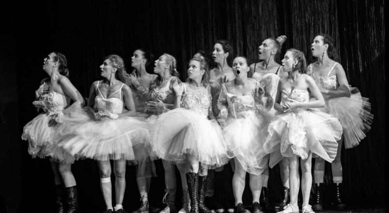 Бременские музыканты (Театр им. Моссовета). Изображение 5