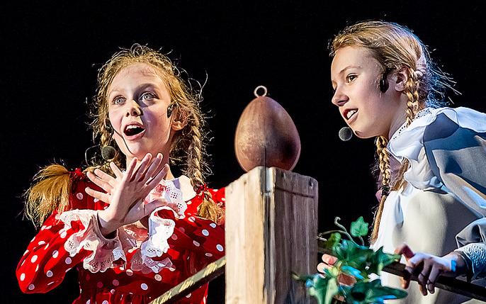 Пеппи Длинныйчулок (Детский Музыкальный театр Юного Актера). Изображение 9