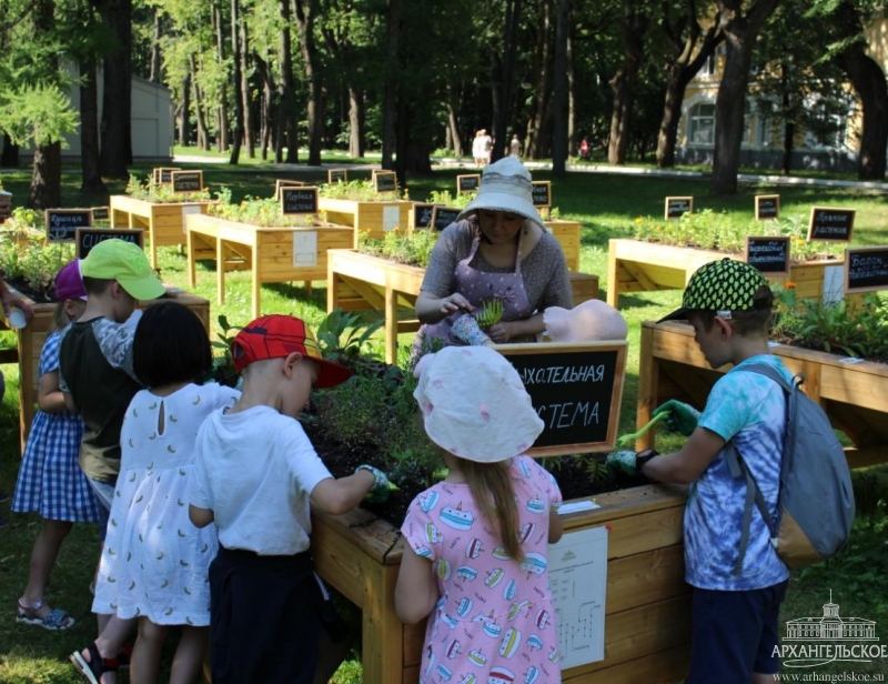Школа юного садовода. Изображение 2