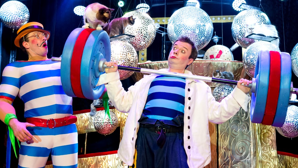 Кэтс шоу. Изображение 4