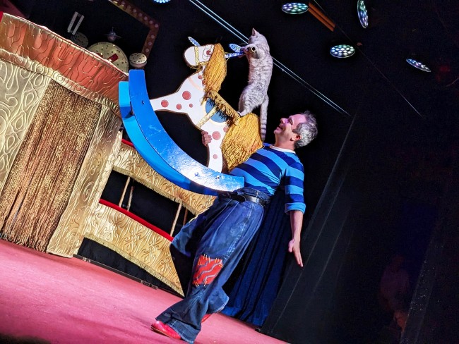 Театр кошек Куклачева. Изображение 11